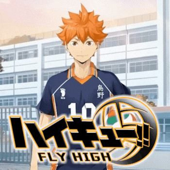 HAIKYU!! FLY HIGH